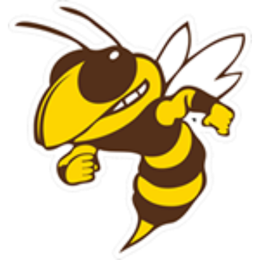 Hornets Logo