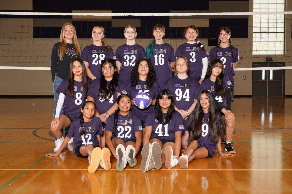 Volleyball D Team