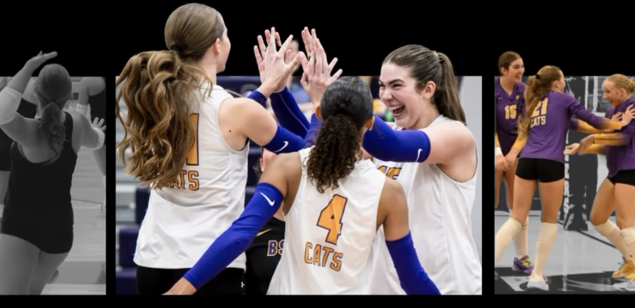 volleyball celebrates