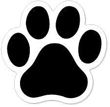 paw PBIS