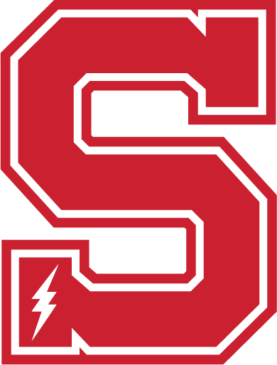 S Logo