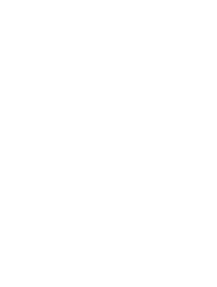 white s logo