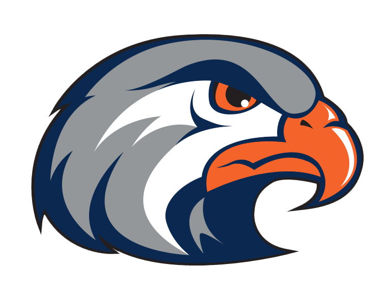 Hawks Head Logo