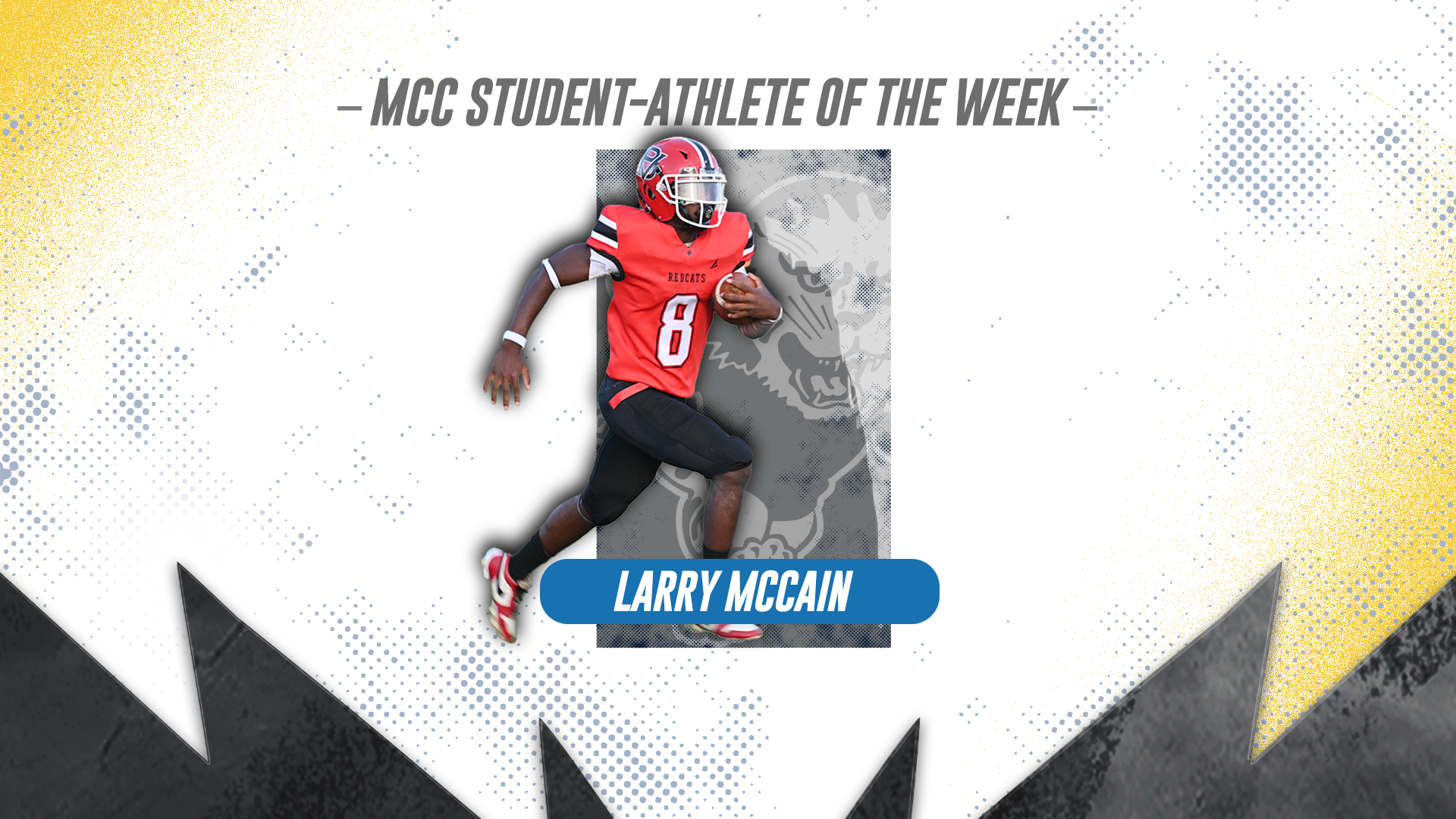 Larry McCain graphic illustration