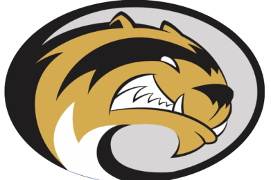 sibley east logo