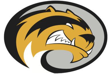 logo2