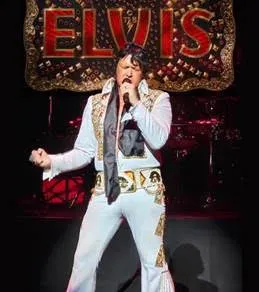 Elvis-in-Concert