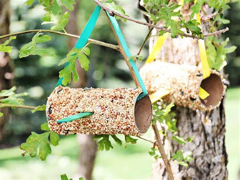 Bird Feeder