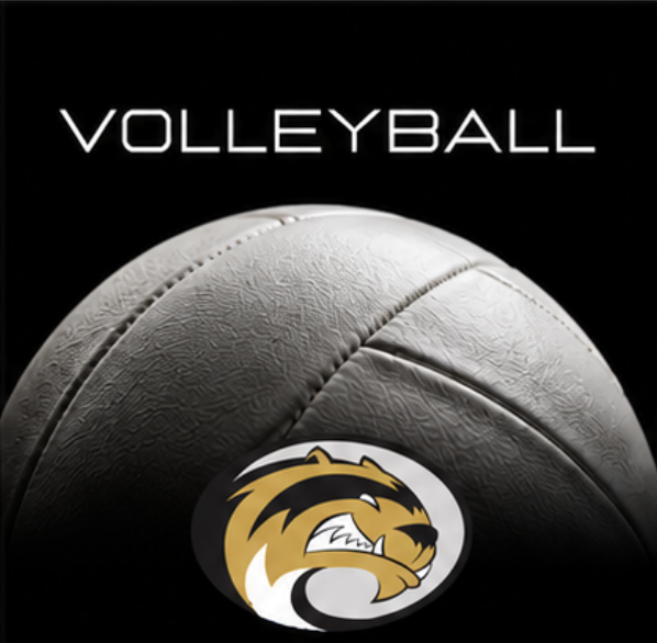 Close-up of a white textured volleyball against a black background with the text "VOLLEYBALL" centered at the top and the Sibley East Wolverines black and gold mascot logo displayed at the bottom center.
