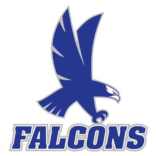 Falcons Logo