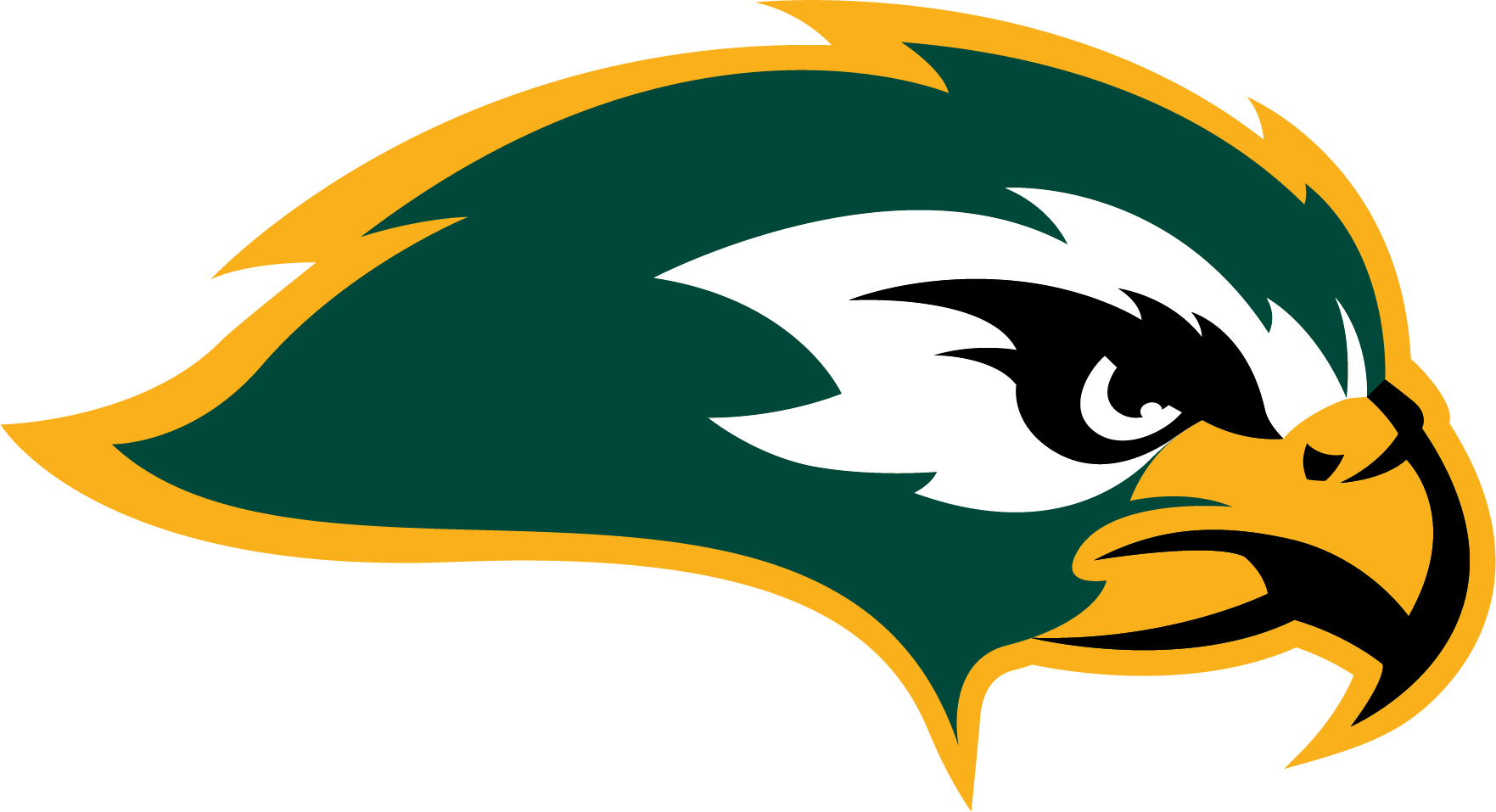 NEWFALCON logo