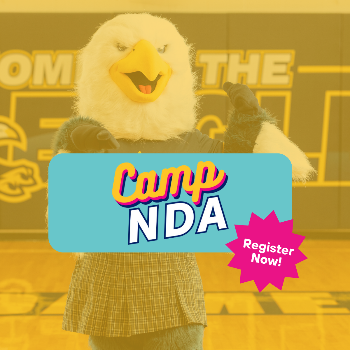 CAMP NDA
