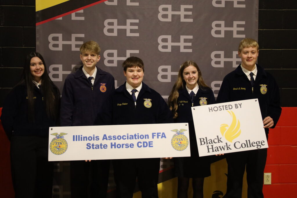 FFA Horse Judging