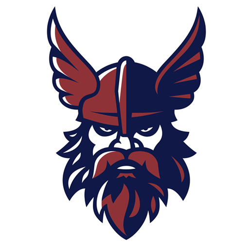 Vikings Logo