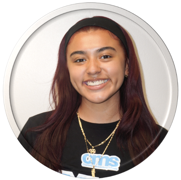 Mirian Figueroa Julius L. Chambers