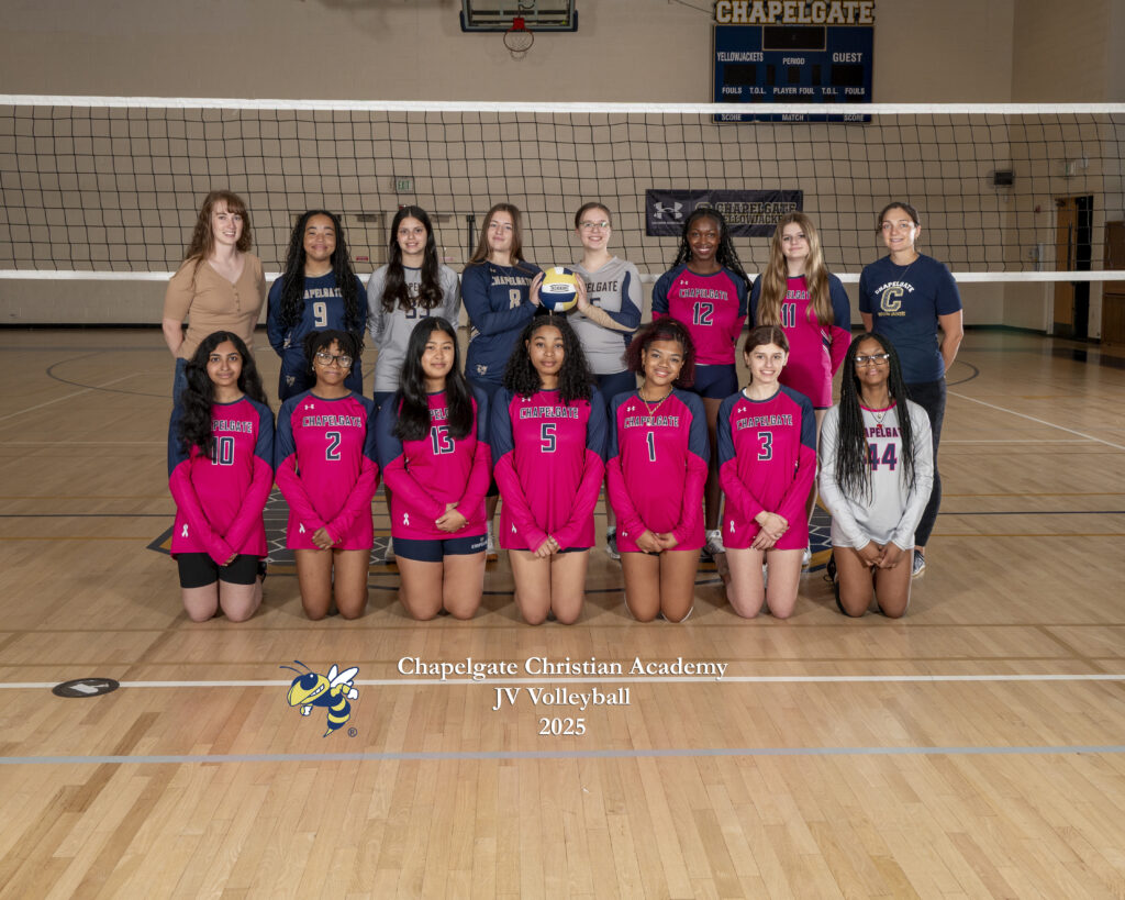JV Volleyball Team Picture