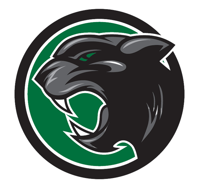 Circle Panther Head Logo