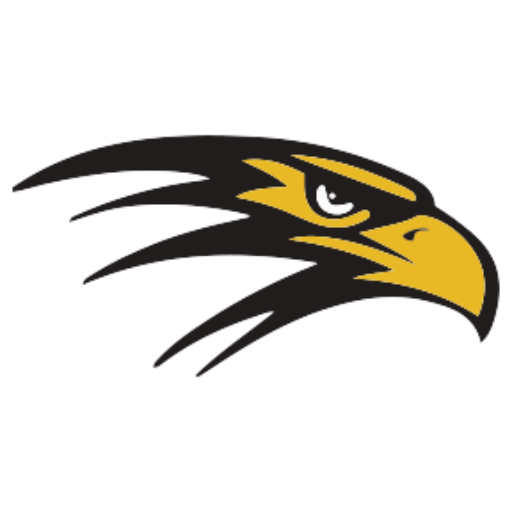 Falcons Logo