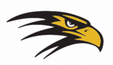 White Background Falcon