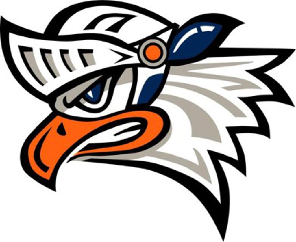 Pleasant Knoll Middle Nighthawk logo