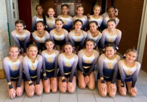 Fort Mill MS Cheer