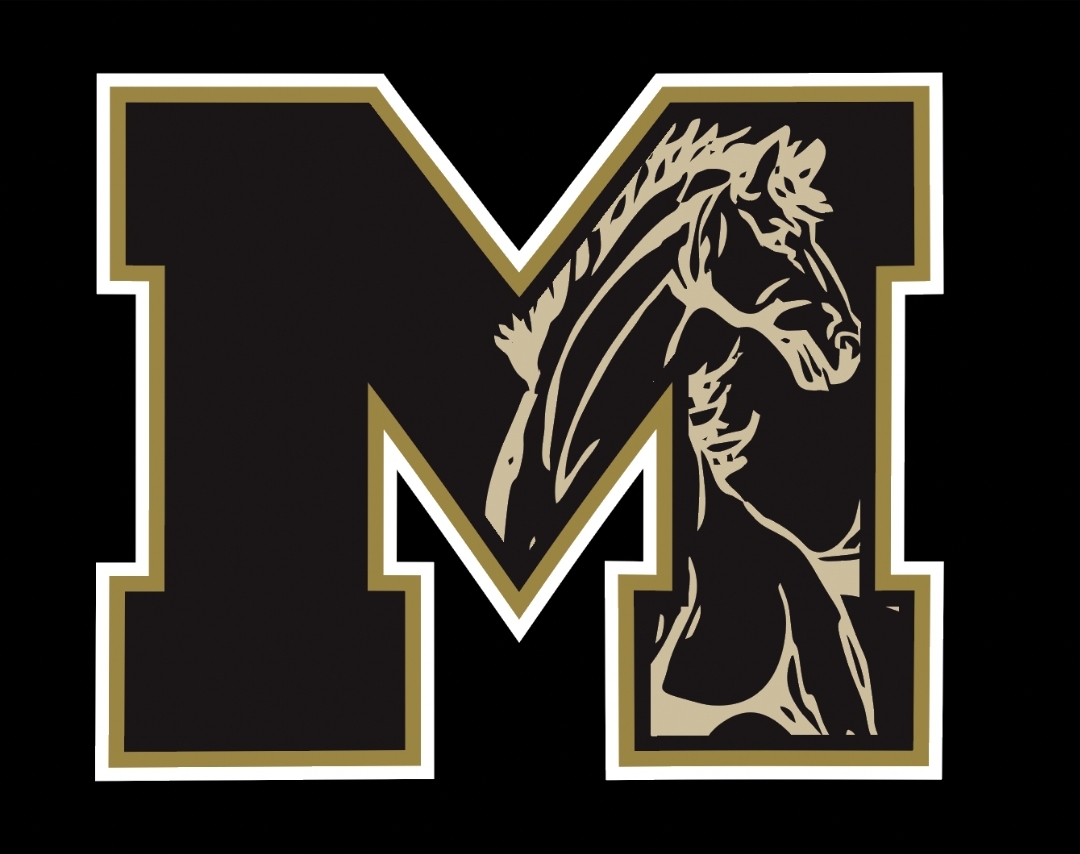 Mustang inside M logo
