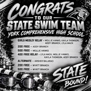 state swim