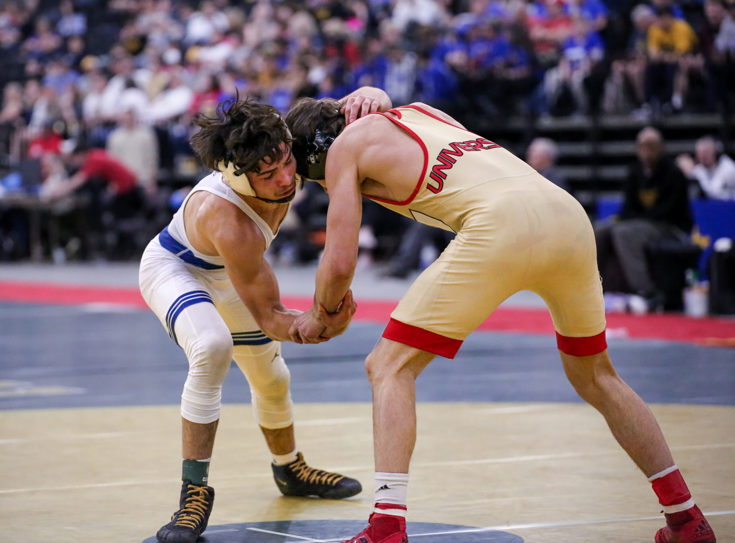 Two wrestlers in action.