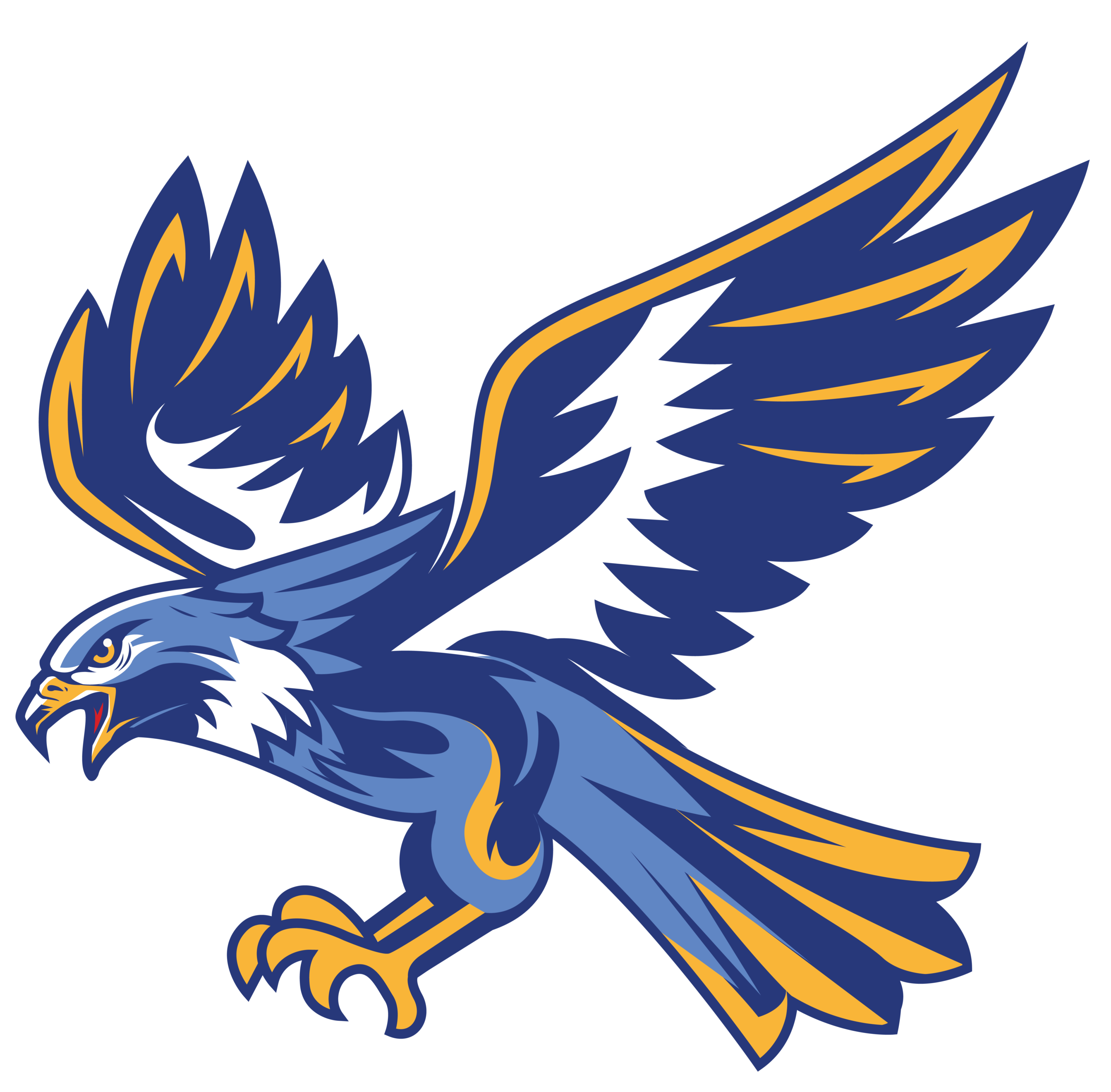 CA Hawk