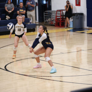 vb