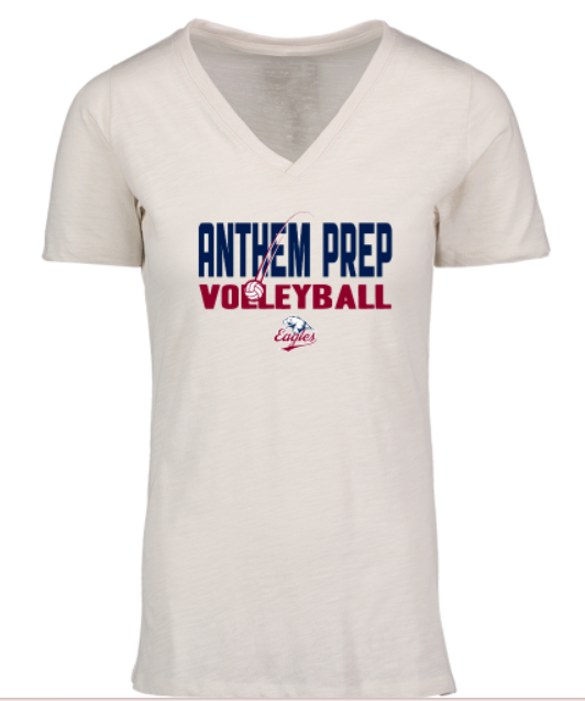 2026 volleyball swag store logo