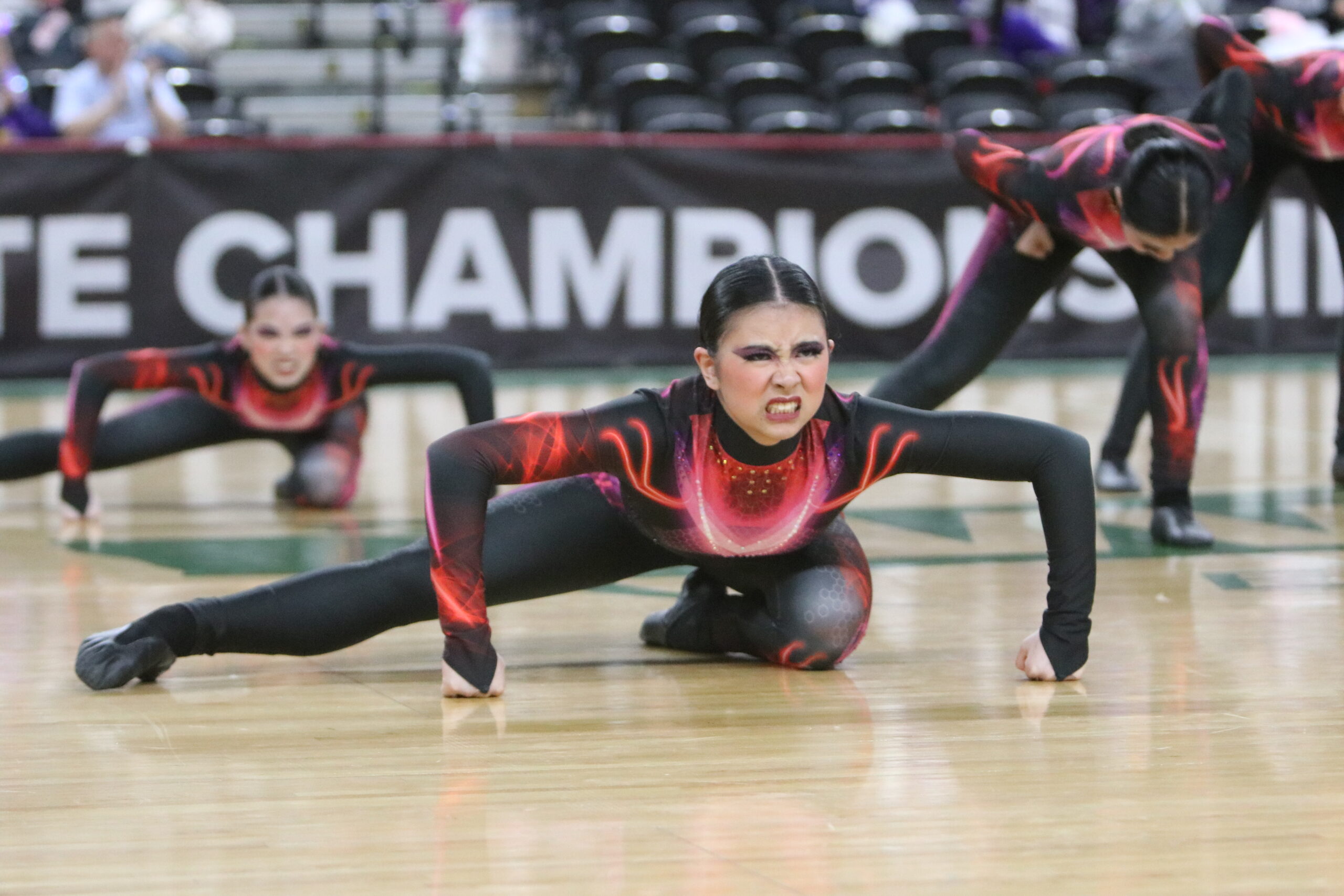 State Dance/Drill