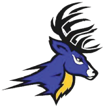 Deer-Park-Stags