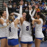 volleyball