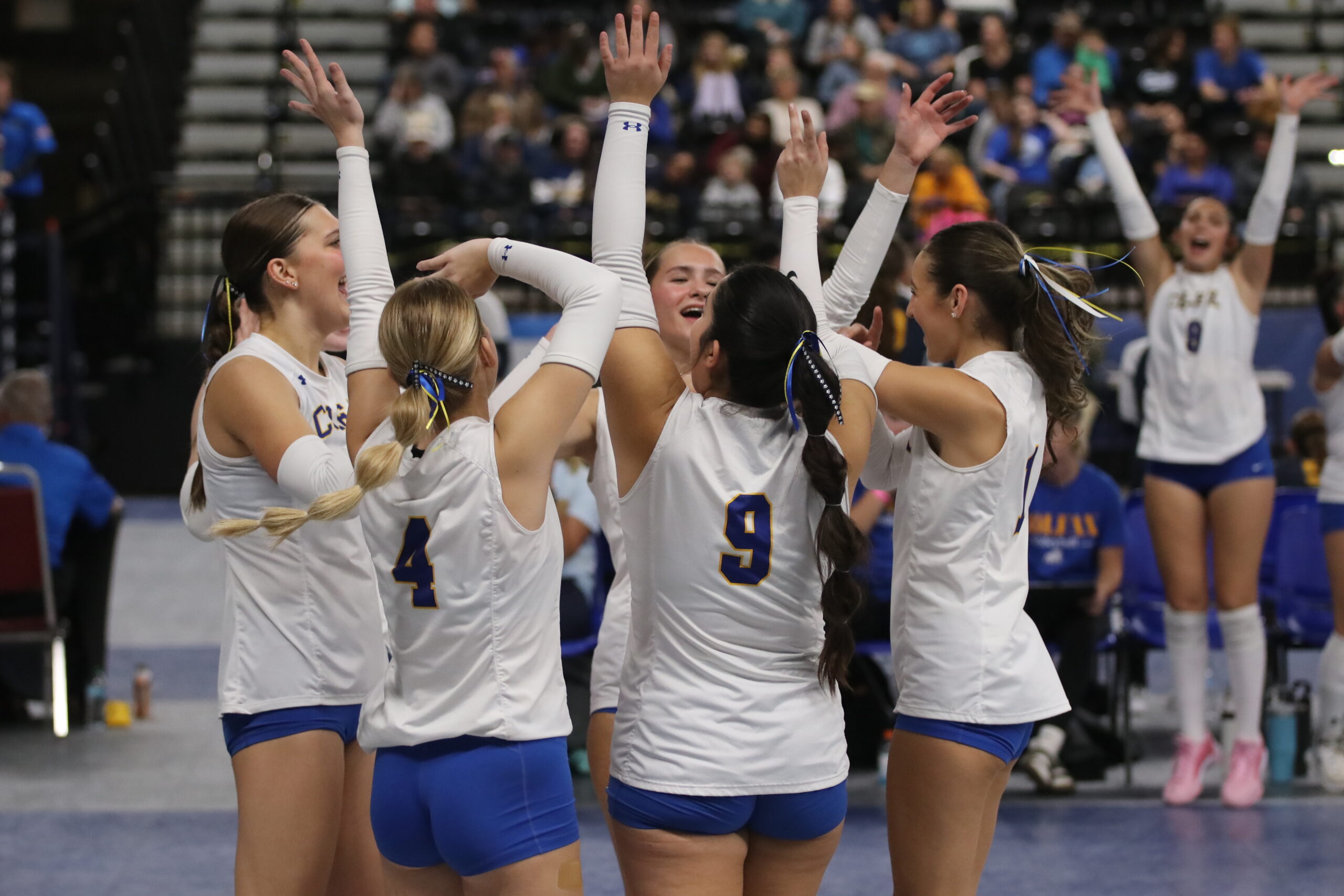 volleyball