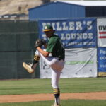 baseball