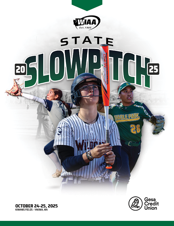 Slowpitch Cover
