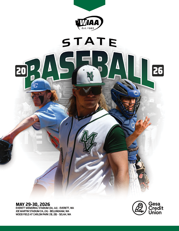 Baseball Cover