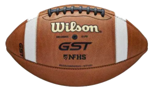Wilson GST