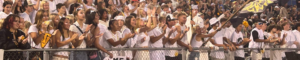 TVHS Student Section