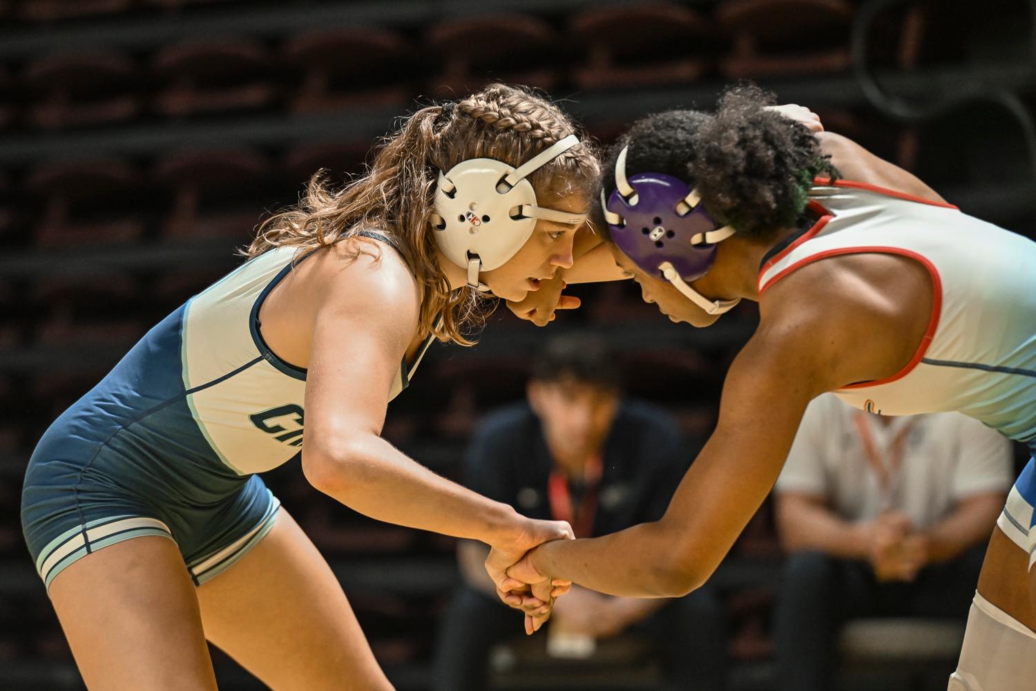 Wrestling Girls