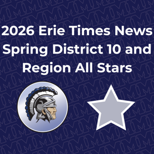 graphic for Spring District and region all stars