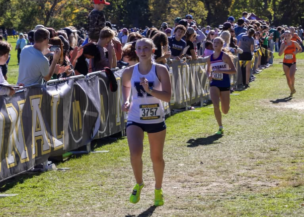 A female high school cross country runner in a blue and white McDowell uniform competing in a race on a grass trail.