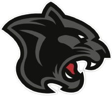 Fels PNG