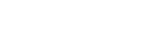 VNN Logo