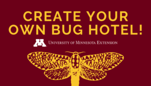 bug hotel