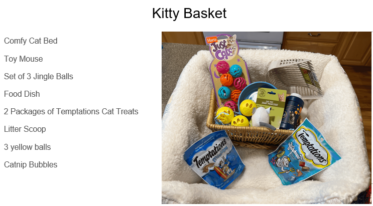 Kitty Basket