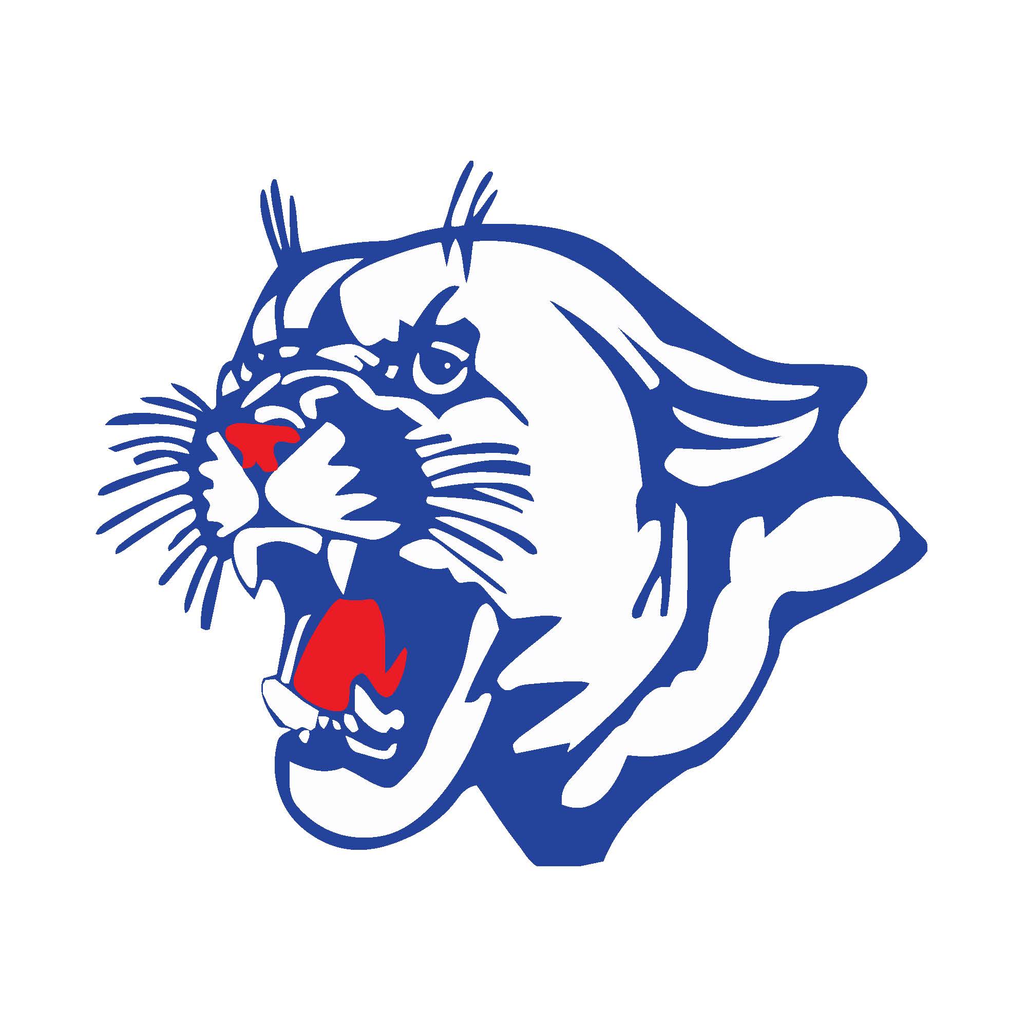 Craig Cougar Mascot