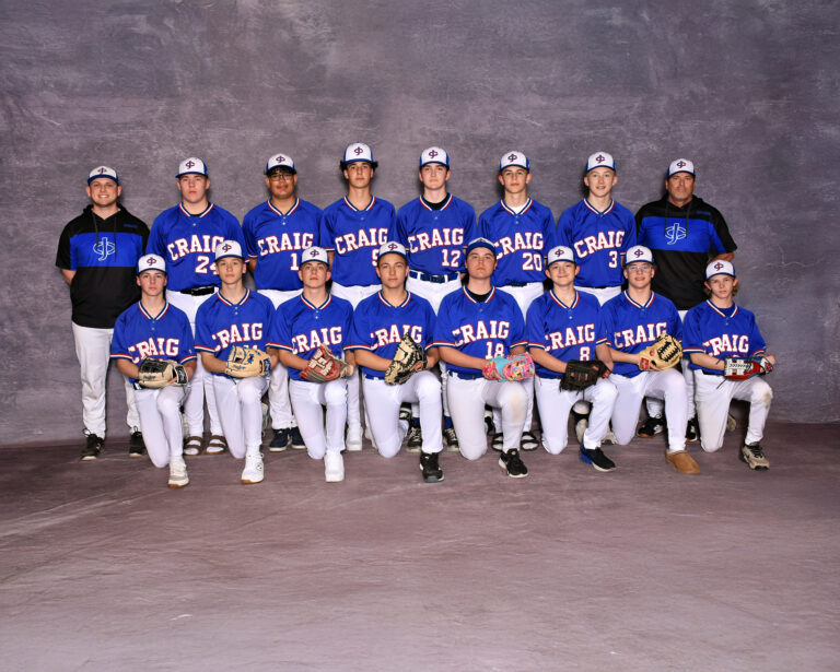 boys jv2 baseball team