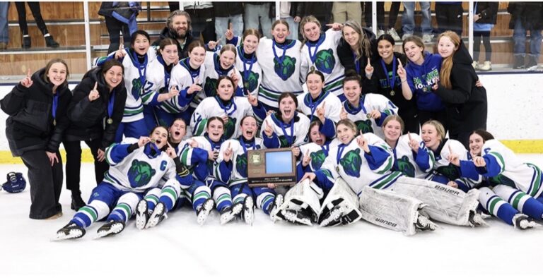 Girls hockey section championship 2025-2026